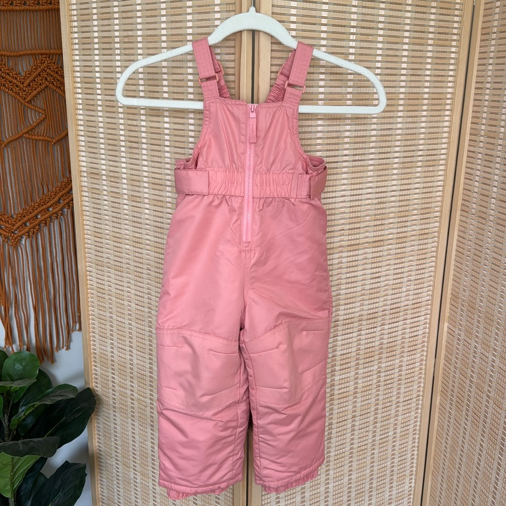Cat & Jack Toddler Snow Bib Overalls